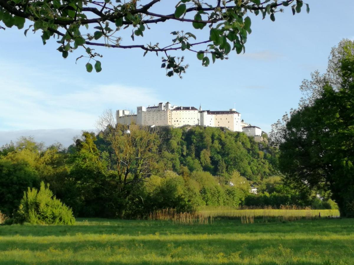 Pension Katrin Salzburg Bagian luar foto